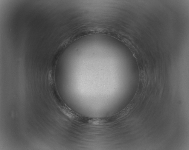 X0000074230564200608250819
