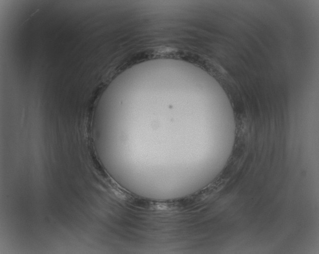 X0000074230565200608250819