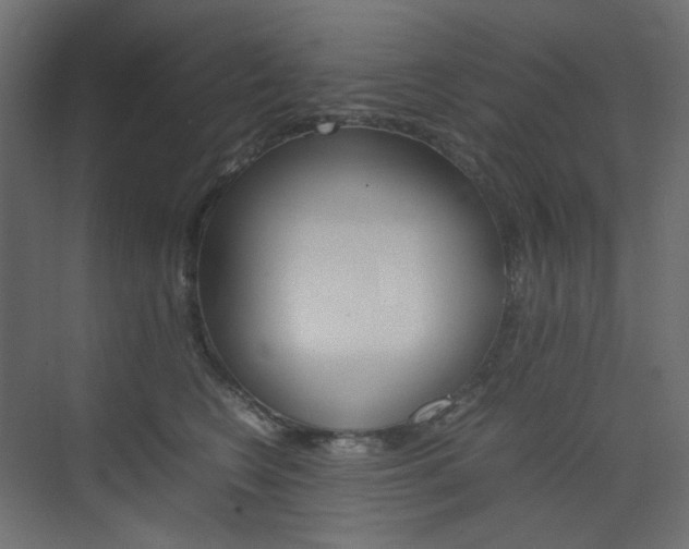 X0000074230566200608250819