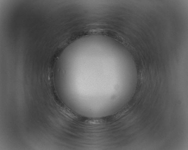 X0000074230567200608250819