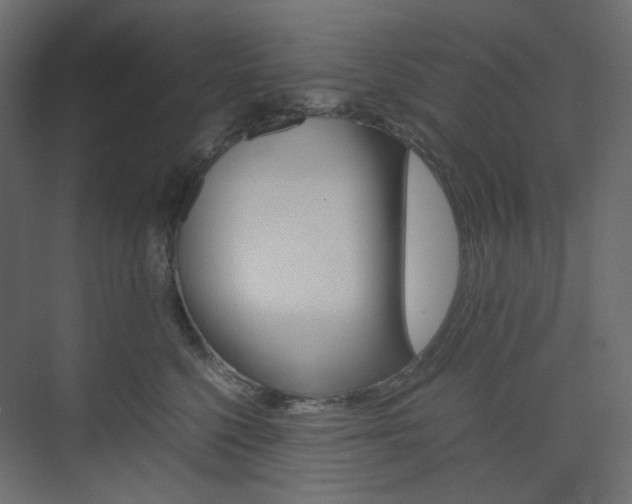 X0000074230568200608250819