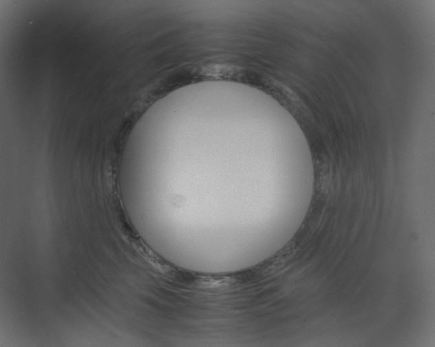 X0000074230569200608250819