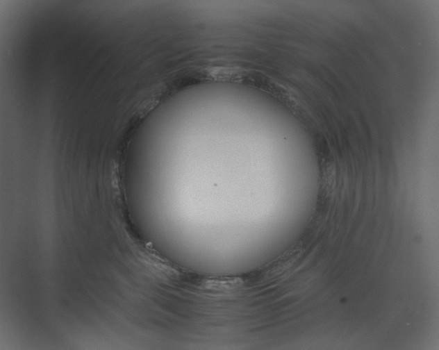X0000074230571200608250819