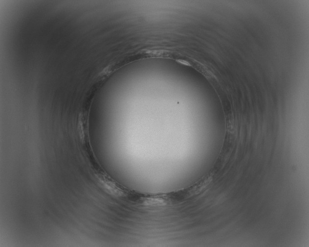 X0000074230572200608250819