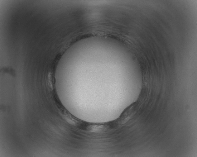 X0000074230575200608250819