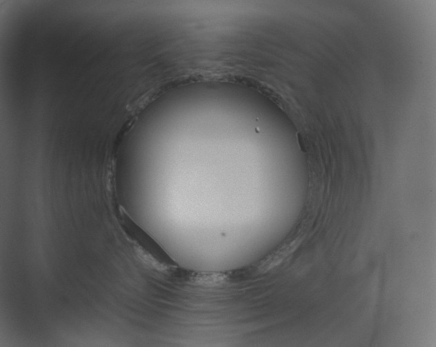 X0000074230576200608250819