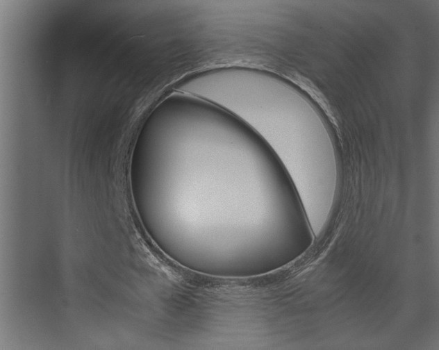 X0000074230577200608250819