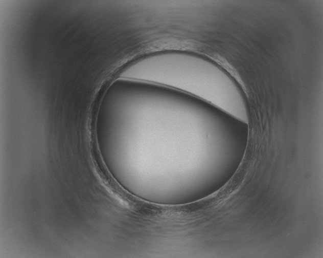 X0000074230581200608250818