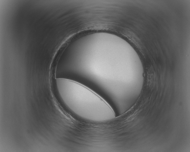 X0000074230584200608250818