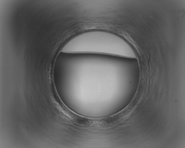 X0000074230585200608250818
