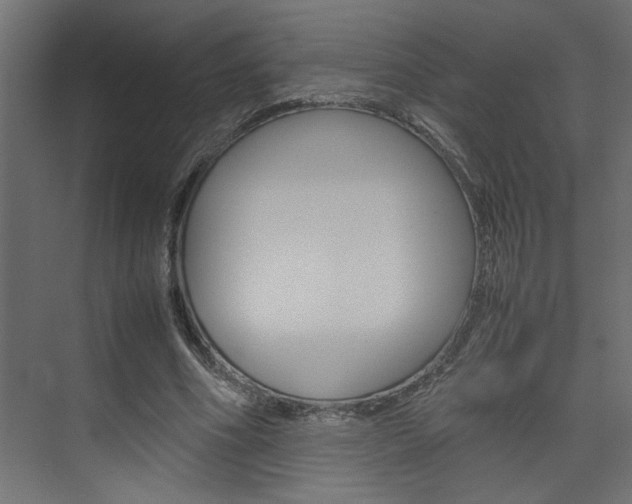 X0000074230586200608250818