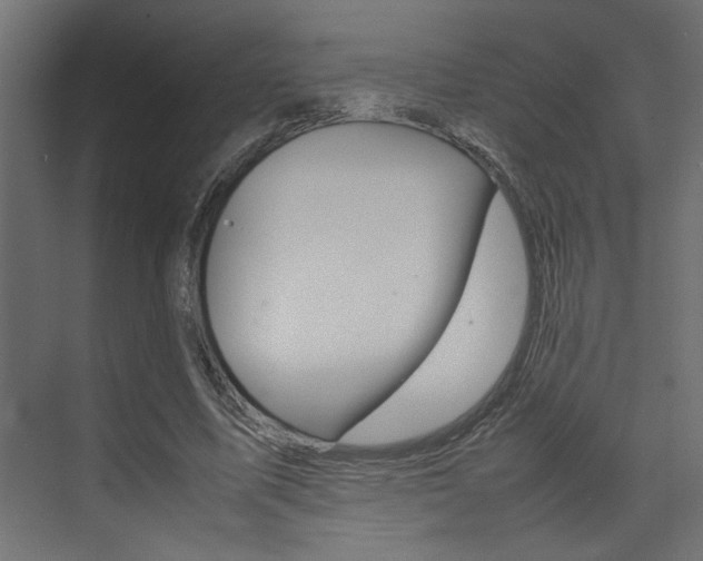 X0000074230587200608250818