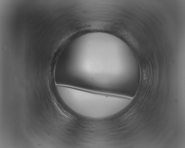 X0000074230588200608250818