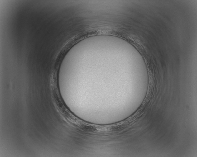 X0000074230591200608250818