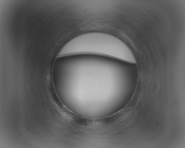 X0000074230593200608250818