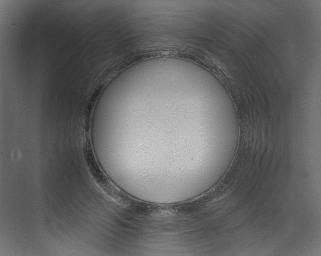 X0000074230594200608250818