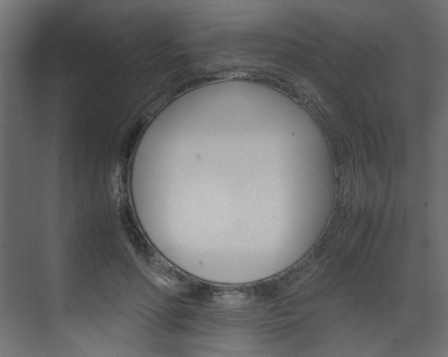 X0000074230598200608250818