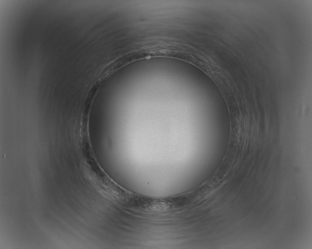 X0000074230600200608250818
