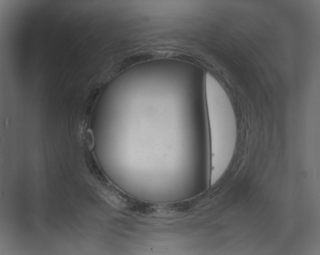 X0000074230601200608250818