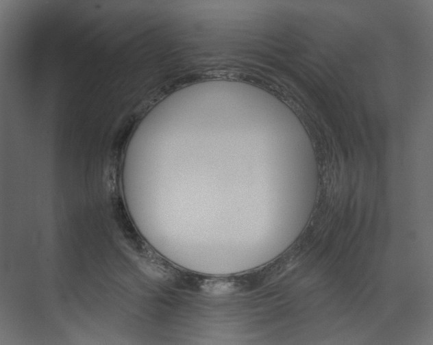 X0000074230602200608250818