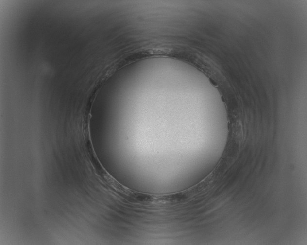 X0000074230604200608250818