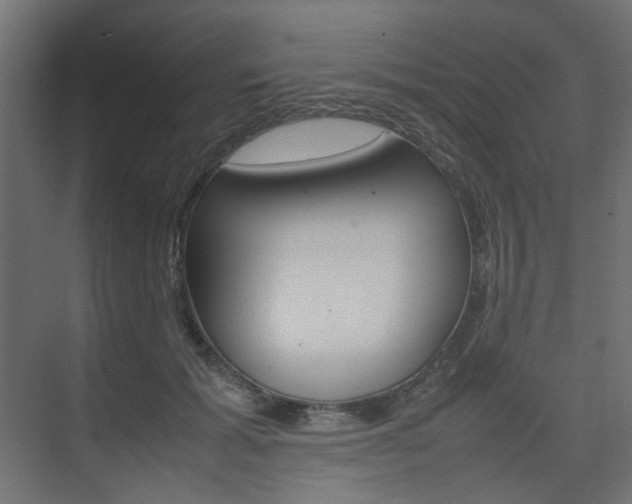 X0000074230605200608250818