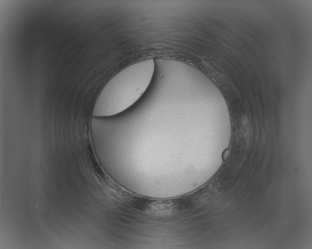X0000074230606200608250818