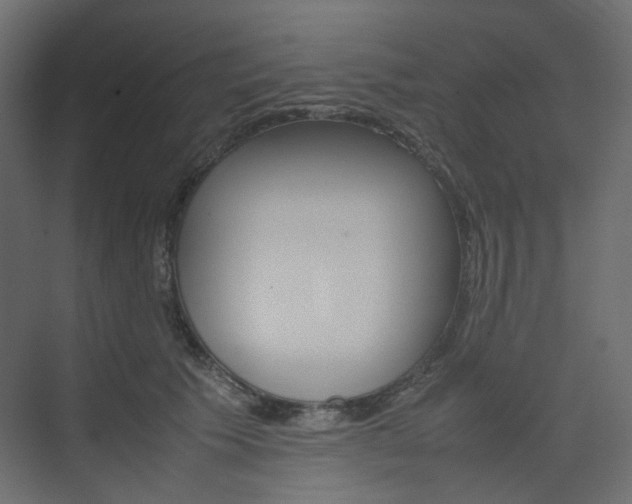 X0000074230609200608250818