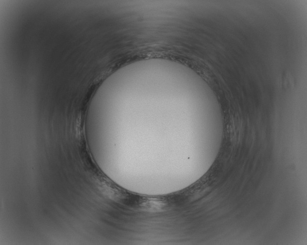 X0000074230610200608250818