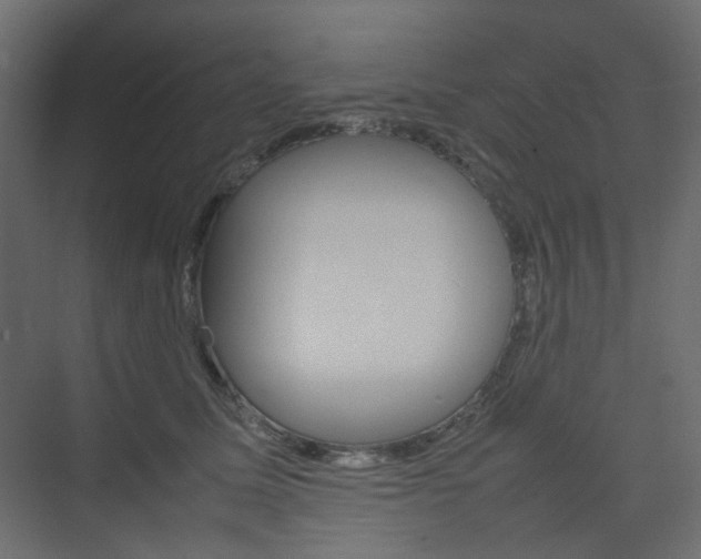 X0000074230611200608250818