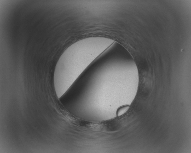 X0000074230615200608250818