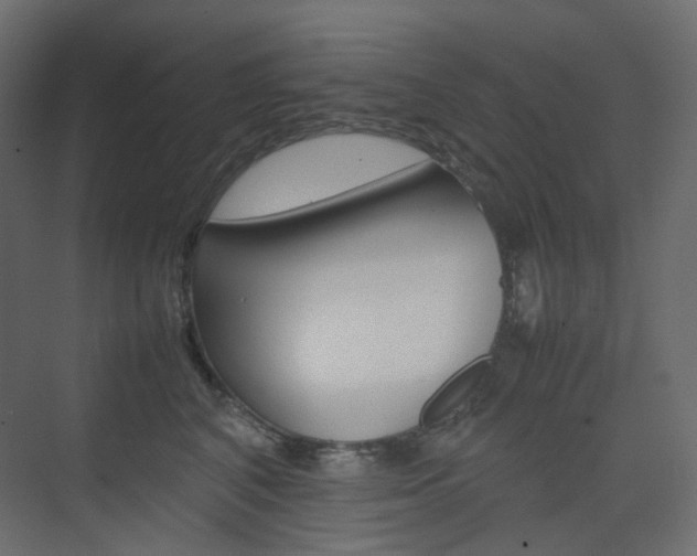 X0000074230616200608250818