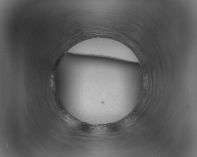 X0000074230621200608250818
