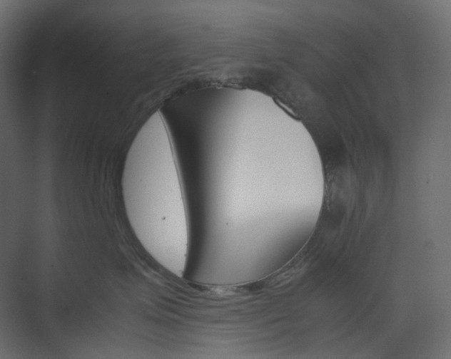 X0000074230623200608250818