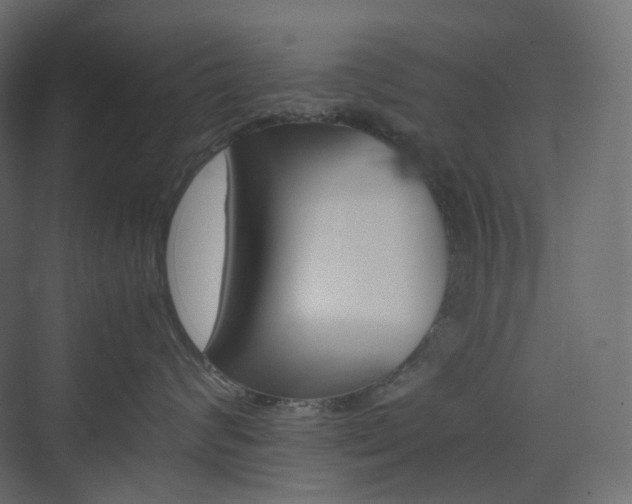 X0000074230624200608250818