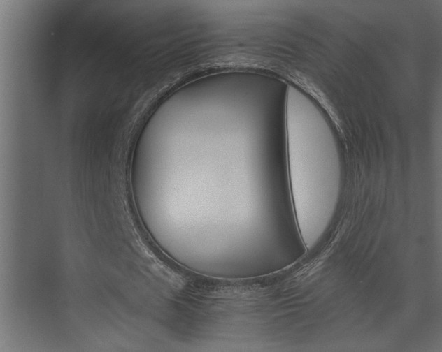 X0000074230625200608250817