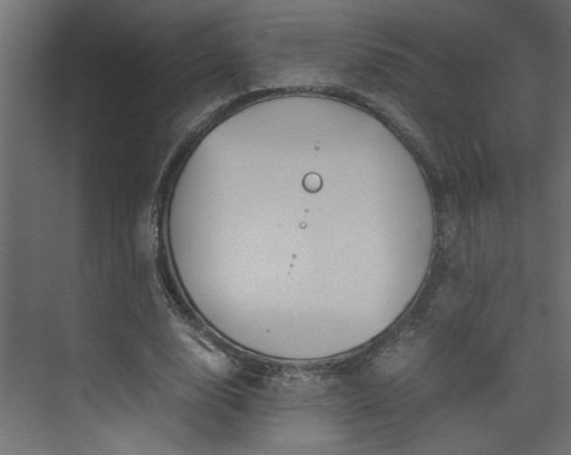 X0000074230632200608250817