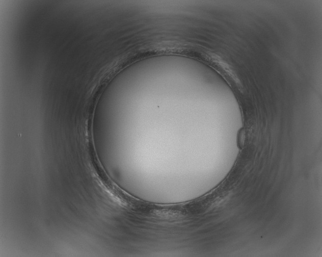 X0000074230633200608250817