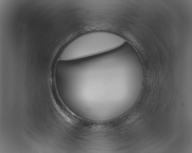 X0000074230634200608250817