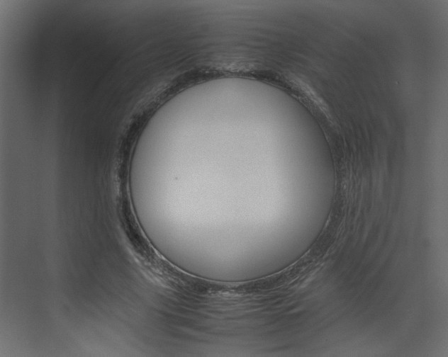 X0000074230635200608250817