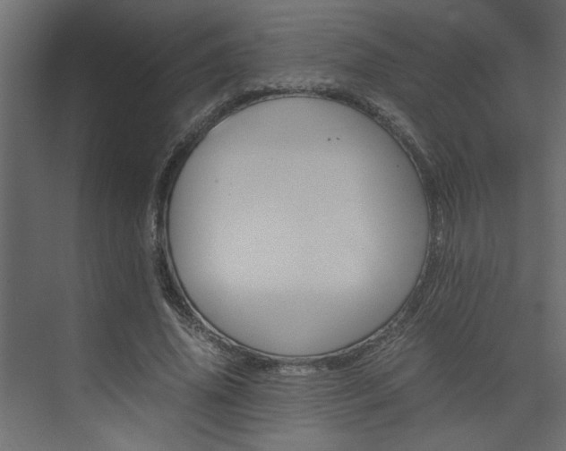 X0000074230636200608250817