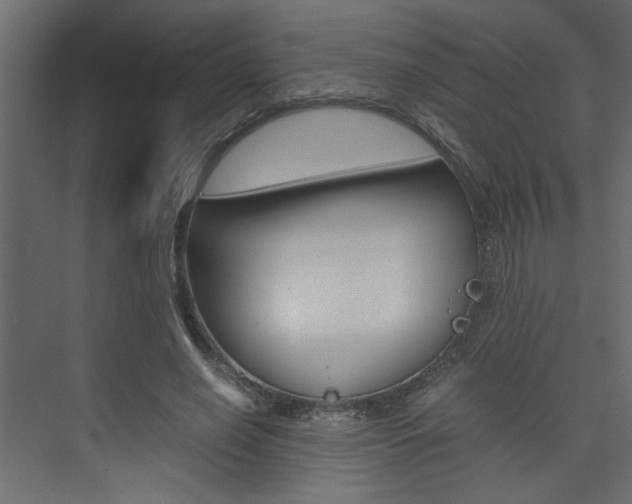 X0000074230638200608250817