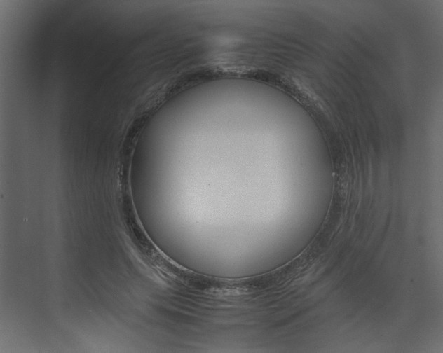 X0000074230639200608250817
