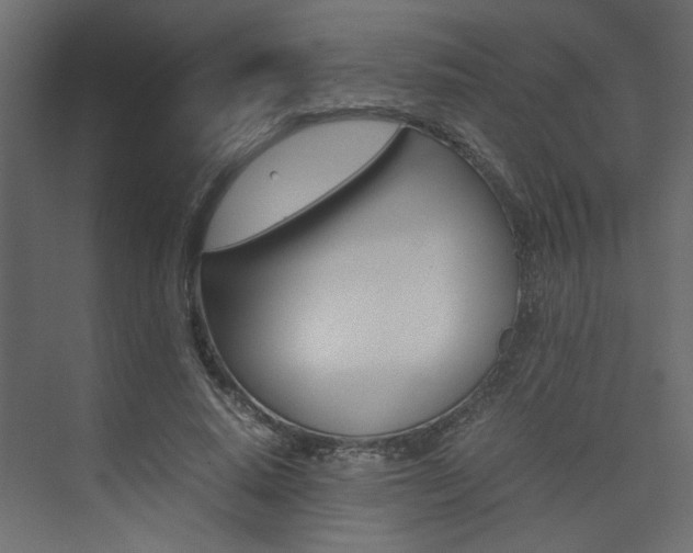 X0000074230640200608250817