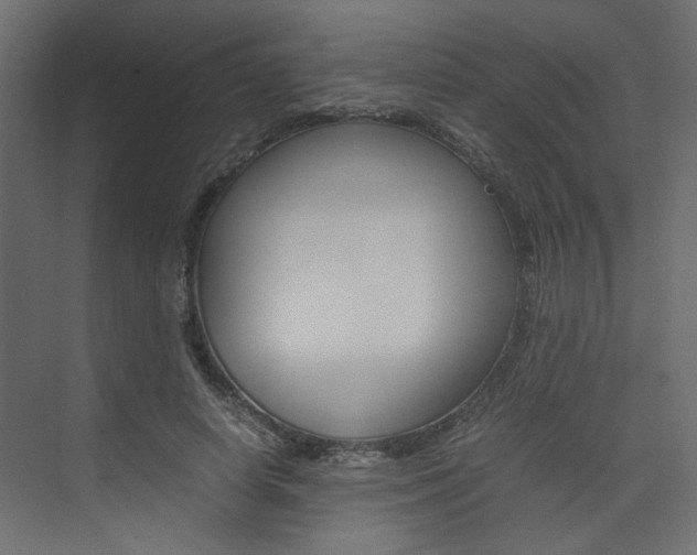 X0000074230642200608250817