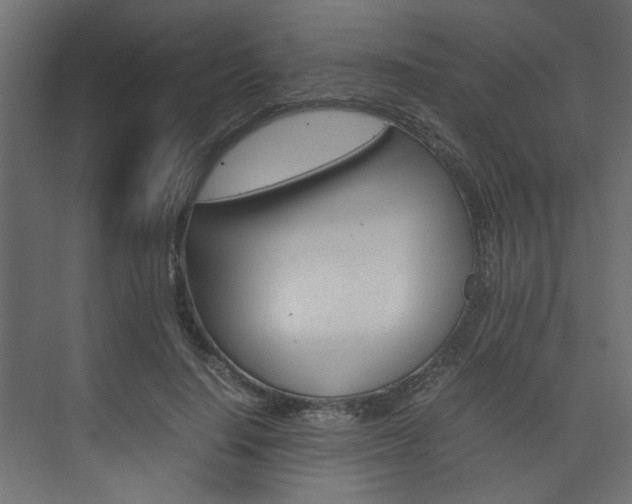 X0000074230644200608250817