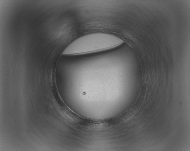X0000074230646200608250817