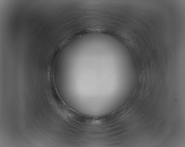 X0000074230647200608250817