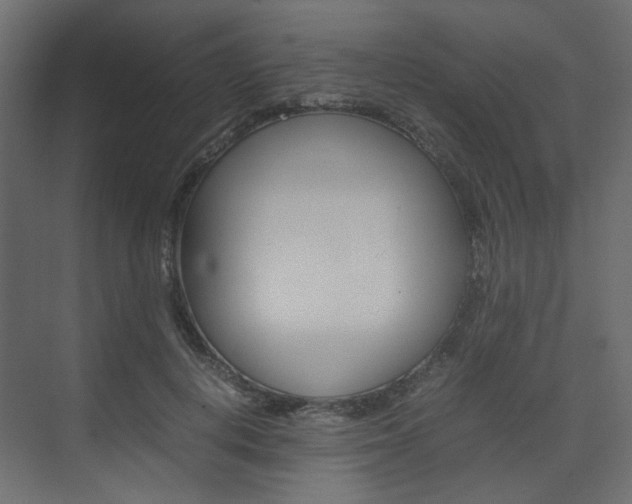 X0000074230648200608250817