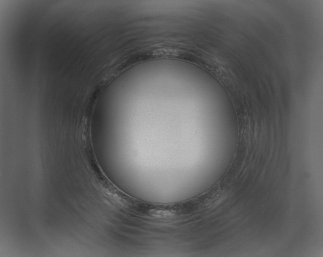 X0000074230649200608250817